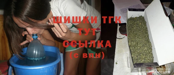 прущий лед Алзамай