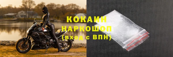прущий лед Алзамай