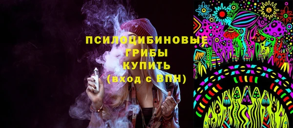 прущий лед Алзамай